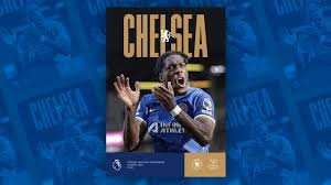 Image result for Disa walleri