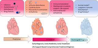 Myocarditis is an inflammatory disease of the heart that may occur because. Fulminant Myocarditis A Comprehensive Review From Etiology To Treatments And Outcomes Signal Transduction And Targeted Therapy
