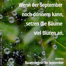 41 Spruche Im September Gratis Spruch De