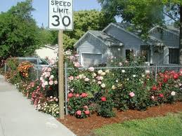 Hoover fence offers a wide range of slat options. Pin On Roses
