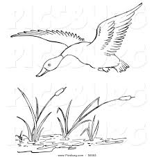 Black And White Printable Bird Pictures Printable Black And White Art Clip Art Of A Duck Flying Over A Pond Black And White Line Art By Line Art Drawings Black And White Lines Line Art
