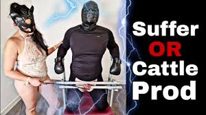 Cattle prod bdsm