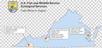 United States Fish And Wildlife Service Virginia Chesapeake Bay Sunderland U S Fish Wildlife Service Outdoors Agencies Angle Text United States Png Klipartz