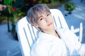 All the young nct members are part of renjun just turned 20 so idk it might be 21 korean age but i'm not entirely sure at this point but i wish. Here S Nct Dream Renjun S Idol Lookalike And He Has A Twin Kpophit Kpop Hit