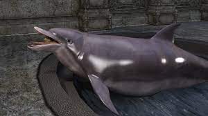 I just to wanted comment on your signature that that is the correct way to spell asperger's i should know. Dolphin Vore Feeding Time By Mustangv6premium Fur Affinity Dot Net