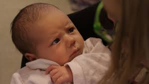 Paviaanin käsitteellinen ajattelu ei oikein vakuuta... (2001)