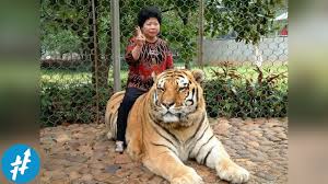 .binatang lucu, gambar kartun binatang peliharaan, gambar kartun binatang terbang, gambar kartun gambar kartun binatang. 10 Hewan Peliharaan Yang Tidak Biasa Dan Anti Mainstream Youtube