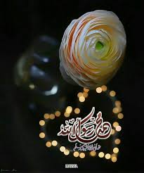 desertrose سبحان الله والحمد لله ولا إله إلا الله والله أكبر ولا حول ولا قوة إلا بالله وحسبنا الله لا إله إلا هو عليه توكلنا وهو رب ا islam islam quran sufi