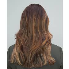 4.7 out of 5 stars with 277 ratings. Warm Brunette Base Caramel Highlights Behindthechair Com