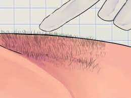 Wax can't pick up your hairs when they're too short: How To Do A Male Brazilian Wax With Pictures Wikihow