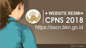 Sscn Bkn Tips Trik Cara Cepat Menjawab Soal Tes Skd Cpns 2018 Ini Yang Dikerjakan Lebih Dulu Tribun Timur