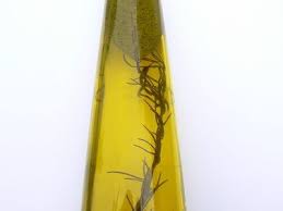 Healthfully Making Essential Oils Lavender Oil For Hair Lavender Oil Hair Growth