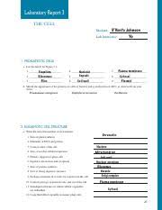 The difference between plant cell and an animal cell however is that plant cell have cell wall, chloroplast and a permanent vacuole. Animal And Plant Cell Report Docx Biology Lab Report Animal Cell And Plant Cell 1 2 3 4 Introduction Both Animals And Plants Are Eukaryotic Cells Course Hero
