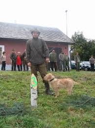 Image result for štýrský brakýř