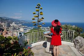 See more of as monaco on facebook. Ø¯ÙˆÙ„Ø© Ø£ÙˆØ±ÙˆØ¨ÙŠØ© Ø«Ù„Ø« Ø³ÙƒØ§Ù†Ù‡Ø§ Ù…Ù† Ø§Ù„Ù…Ù„ÙŠÙˆÙ†ÙŠØ±Ø§Øª Ø£ÙŠÙ† ØªÙ‚Ø¹ Ù…Ø¨Ø§Ø´Ø± Ø¨Ù„Ø³