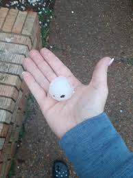 HUGE hail in Olive Branch, MS. Some...