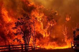 Pin By Njhchambers On Witchy Calenture Bushfires In Australia Australian Bush Forest Fire