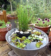 quincaillerie en ligne droguerie bricolage jardinage mon magasin general jardin d eau jardin aquatique deco jardin