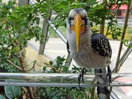 Book haus auf dem meere, luneburg on tripadvisor: Haus Des Meeres Bilder Aqua Terra Zoo In Wien