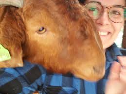 Can it get more #upclosechallenge than this?