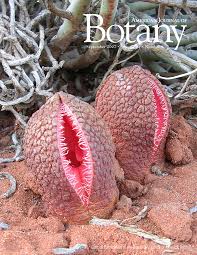 Image result for Hydnoraceae