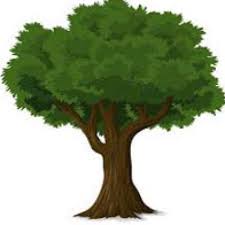 Untuk soal soal tes kemampuan spasial secara lengkap bisa dilihat disini. Cara Mengerjakan Psikotest Baum Tes Menggambar Pohon Lama Pedia