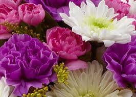 Flowers by frankie inc your local bronx, ny flower shop, delivers fresh flowers, roses and gifts to the bronx, ny area. Florists