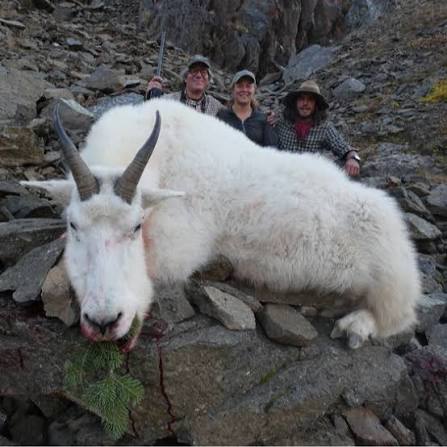 British Columbia World Class Mountain Goat Hunts | Huntin' Fool