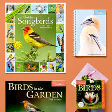 Calendars For Bird Lovers In 2021 Backyard Birds Bird Lovers Natural Ecosystem