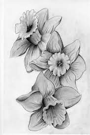 50 Easy Flower Pencil Drawings For Inspiration Daffodil Tattoo Narcissus Flower Tattoos Birth Flower Tattoos
