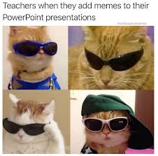Purrfectly Toasted Caturday Memes 30 Cat Memes Cat Memes Funny Relatable Memes Stupid Funny Memes