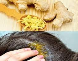 Remedes Fait Maison Pour Faire Pousser Les Cheveux Rapidement Pousse Des Cheveux Comment Entretenir Ses Cheveux Faire Pousser Les Cheveux