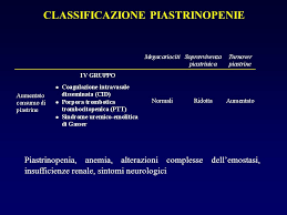 In presenza di piastrinopenia, i farmaci più utilizzati per il. Produzione Delle Piastrine Ppt Scaricare