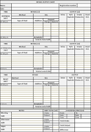 The Intake Output Chart Health Care Service Delivery