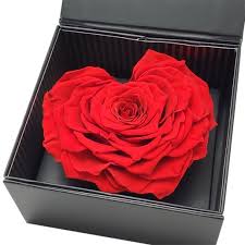 Order now & send fresh flowers Send Flowers To Usa Online Flower Delivery Usa 1800giftportal