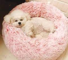 cute and comfy pet bed etsy dog pet beds washable dog bed round dog bed