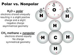Unequal distribution of electron density leads to a nonpolar molecule. Solutions Ppt Download