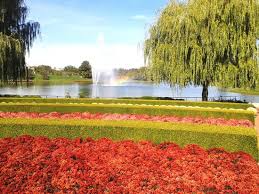 We did not find results for: Night Of 1000 Jack O Lanterns Review Of Chicago Botanic Garden Glencoe Il Tripadvisor