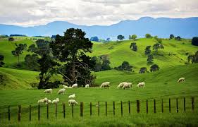 Astonishing New Zealand Landscape Photography Fotografia De Paisagem Lugares Incriveis Nova Zelandia