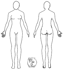 Human Body Template Female By Myraethcorax In 2019 Body