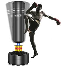 punching bag workout dvd willems mma