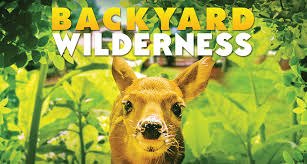 Thanks to the unleashing of an ancient egyptian curse, the museum's animals, birds, bugs and other exhibits spring to life after the building closes, and former president teddy roosevelt (robin williams) is. Home Page Cincinnati Museum Center