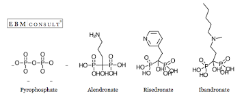 Image result for Bisphosphonates