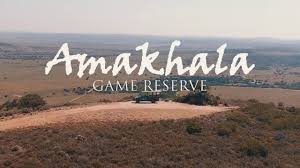16,455 likes · 417 talking about this · 479 were here. Amakhala Game Reserve Youtube
