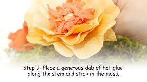 Carnation Flower In Kannada Best Flower Wallpaper