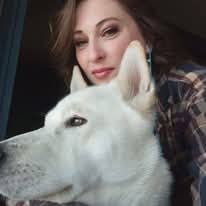 Considering Getting a Basset Hound as a Pet