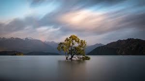 Nya zeeland kan nog bli livets absoluta reseminne för vem som helst. Foton Nya Zeeland Wanaka Otago Berg Natur Vatten Trad 2560x1440