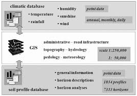 Image result for Ixora kalehensis