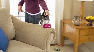 Bissell Pet Hair Eraser Handheld Vacuum Corded 33a1 Manual Best Vacuums For Flea Control Fleascience