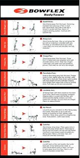 weight bench exercise online charts collection